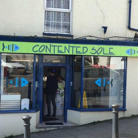 The Contented Sole