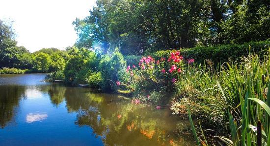 Holgan Farm Fishery