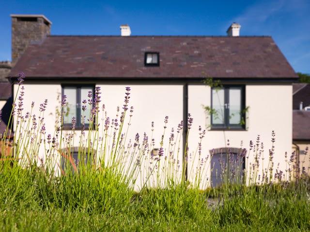 Y Talbot Tregaron