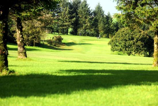 Carmarthen Golf Club