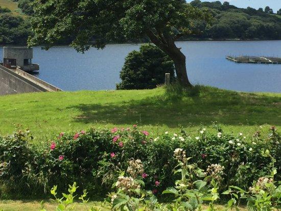 Llys y Fran Country Park & Reservoir