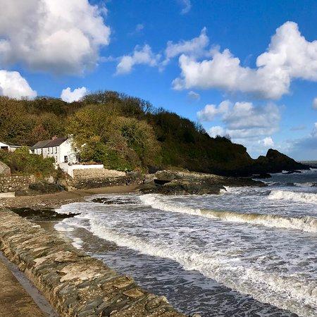 Dinas Head