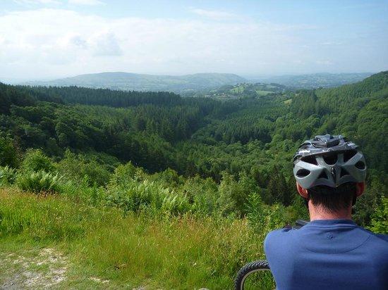 Cwm Rhaeadr Mountain Bike Trail