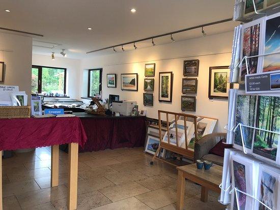 Diane Mathias Fine Art
