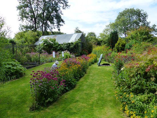 Glyn Bach Gardens