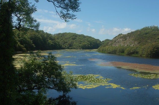 Bosherston Lakes
